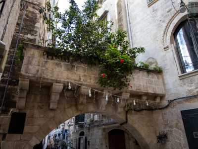 ...oltre la quale � possibile scorgere un piccolo alberello e un arbusto floreale che pende dal bianco parapetto litico